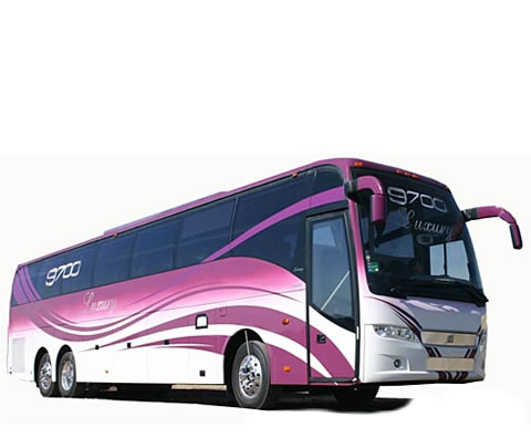 Daily basis Bus Rental