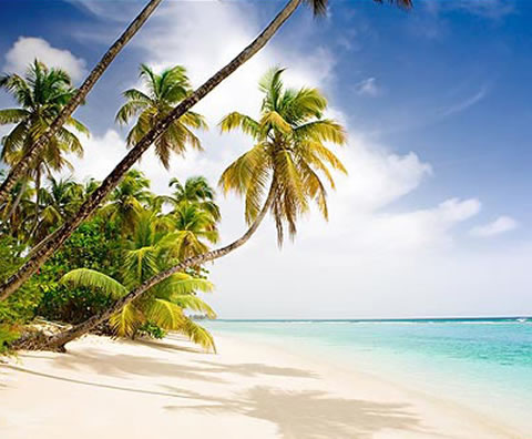 India Holiday Packages